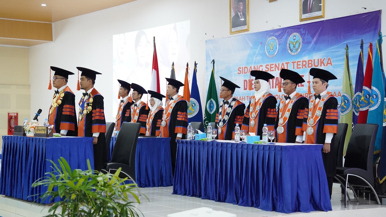 DIES NATALIS 31